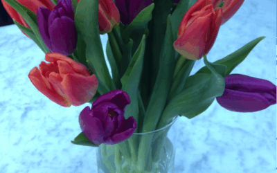 Self-compassion and self-care: Ellie’s story