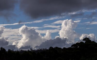 Brew Monday, Blooming Monday… it’s not all Blue Monday